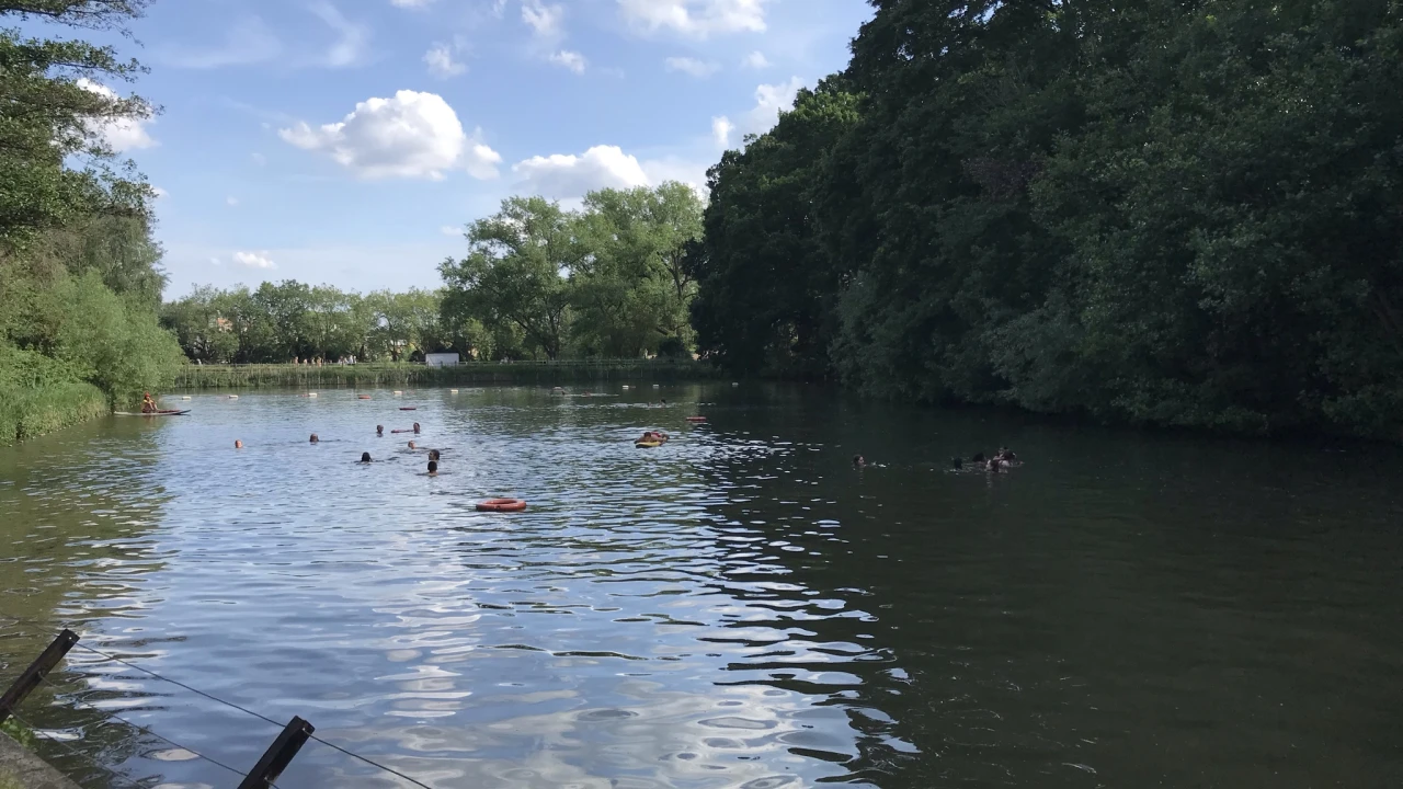 Highgate Ponds